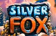 Игровой автомат Silver Fox