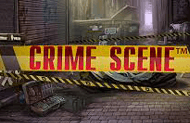 Игровой аппарат Crime Scene